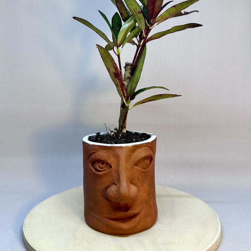 Three vessels, all with faces