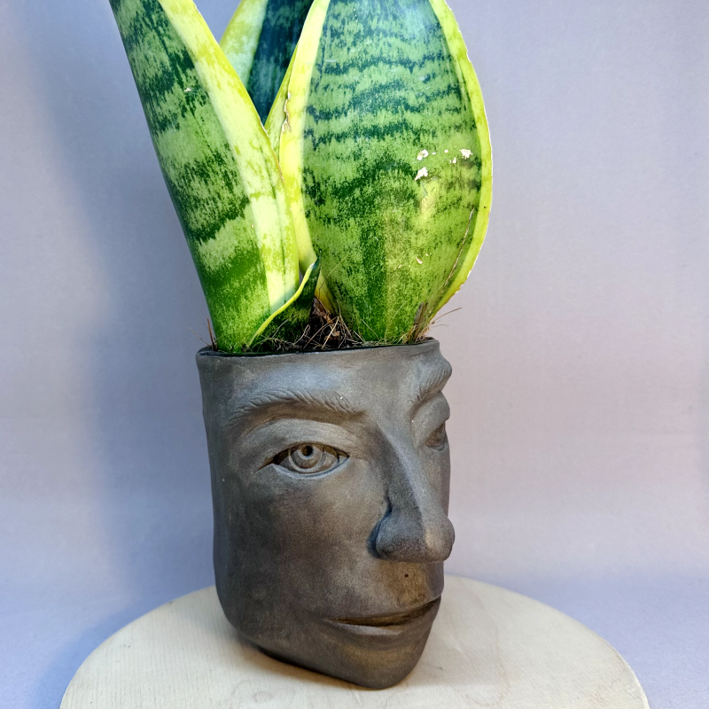 A square-shaped vessel with a face