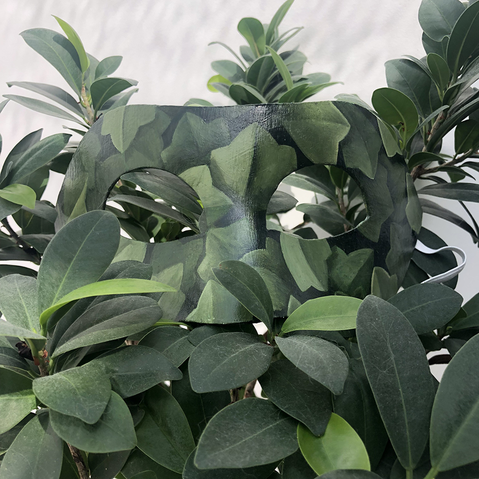leaves