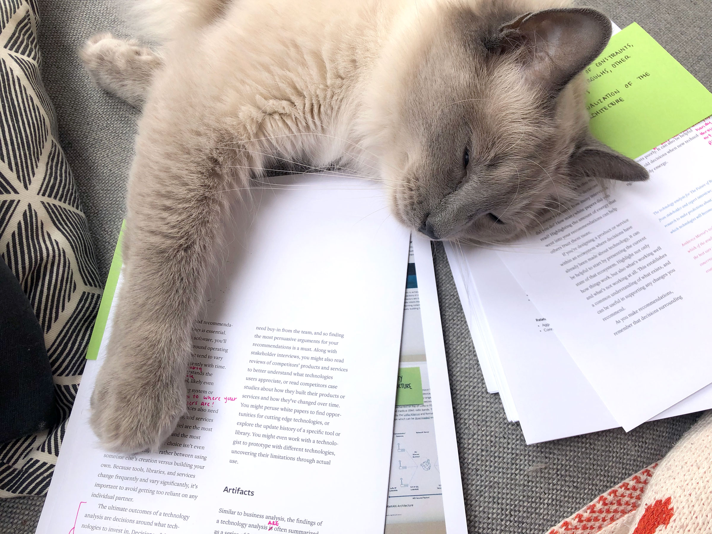 Editing help from Fog (the cat)