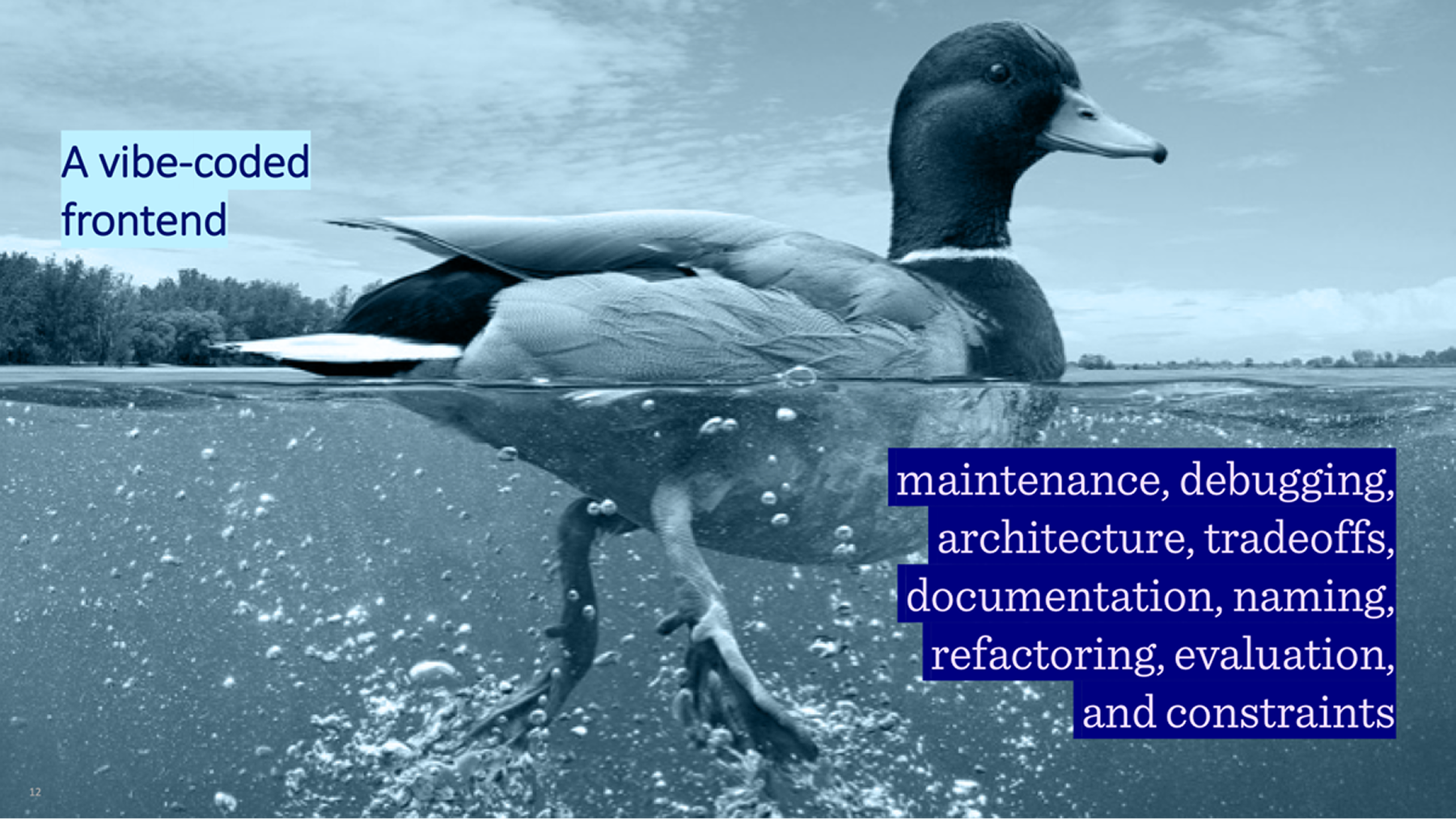 A meme with a duck swimming on water. The duck is the code, the paddling feet are everything else.